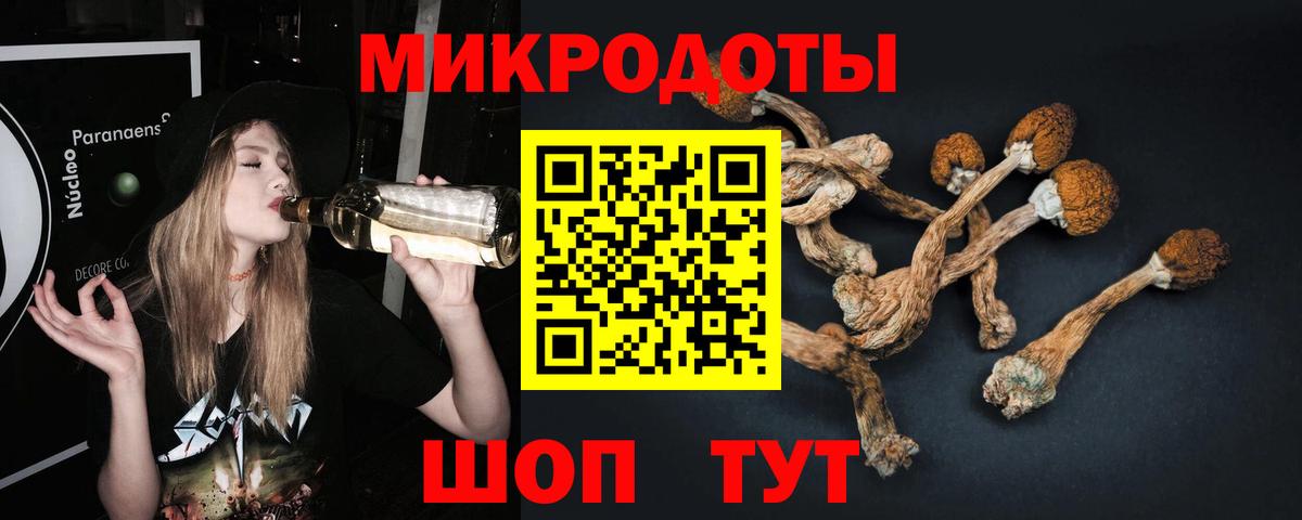Галлюциногенные грибы GOLDEN TEACHER  Вход с VPN  Алексин 
